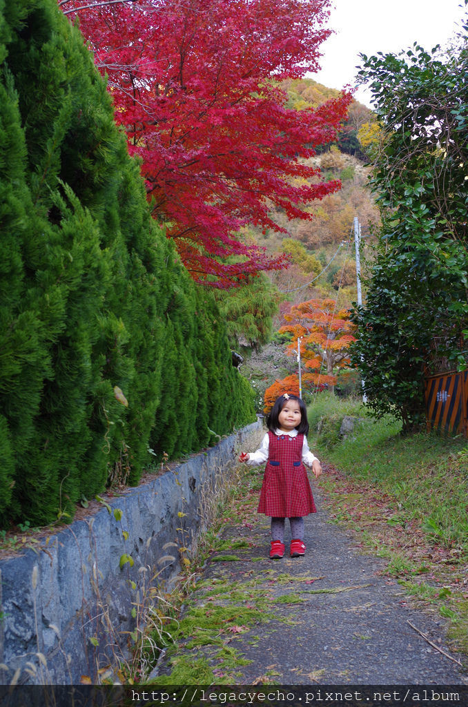 IMGP4793 (2) IMGP4793 (2)