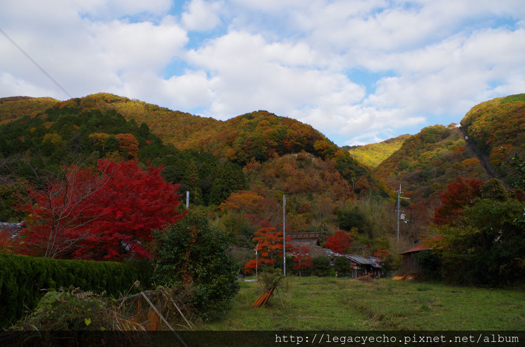 IMGP4816 (2) IMGP4816 (2)