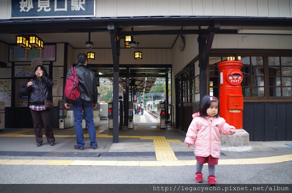 IMGP4843 (2) IMGP4843 (2)