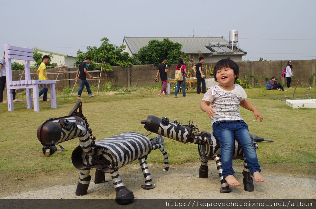 IMGP6342 (2) IMGP6342 (2)