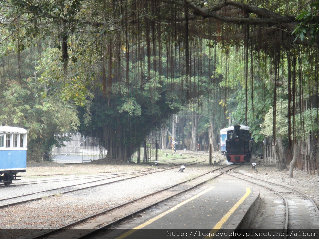 DSC06104 (2) DSC06104 (2)