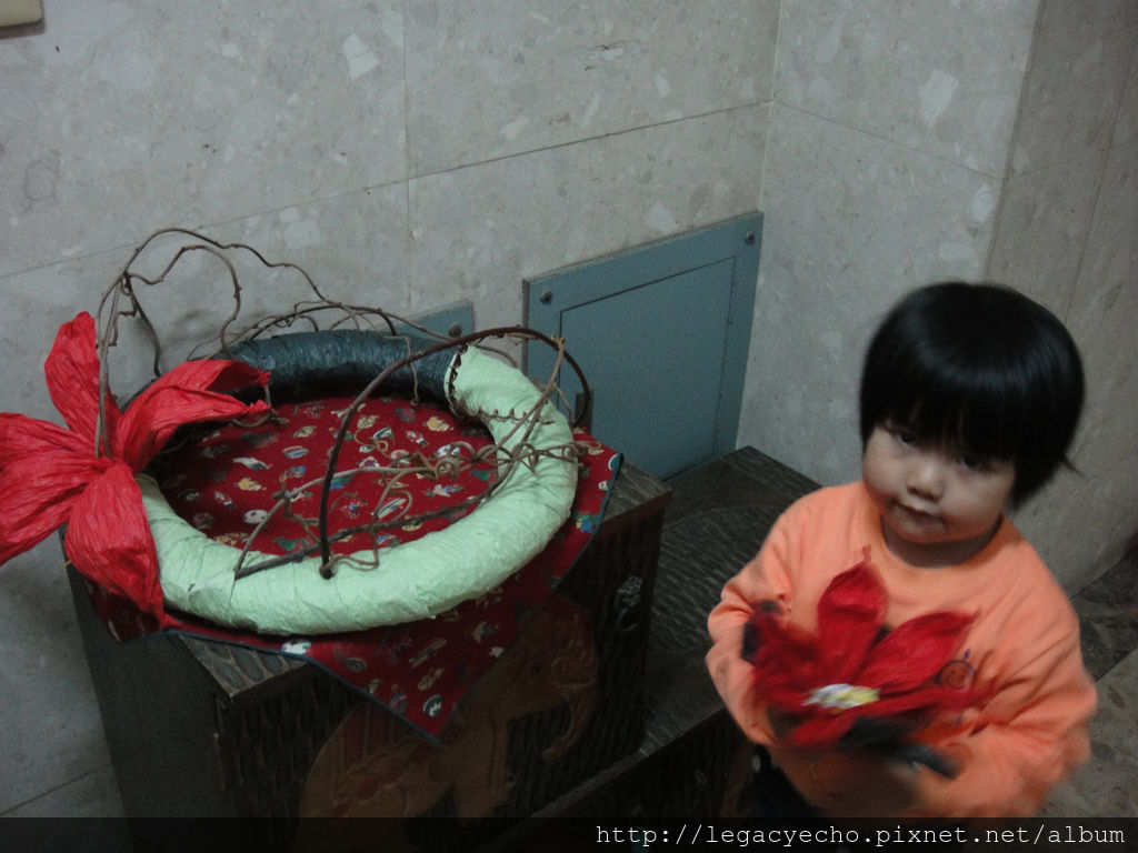 DSC06256 (2) DSC06256 (2)