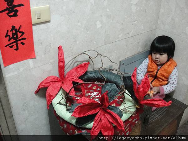 DSC06294 (2) DSC06294 (2)