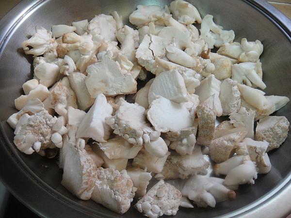 DSC00503.jpg DSC00503.jpg