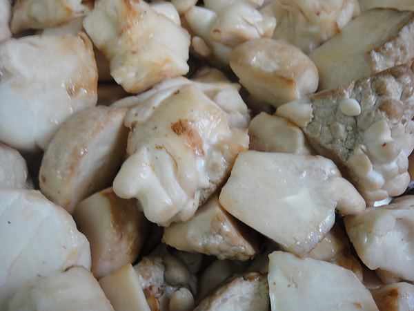 DSC00507.jpg DSC00507.jpg