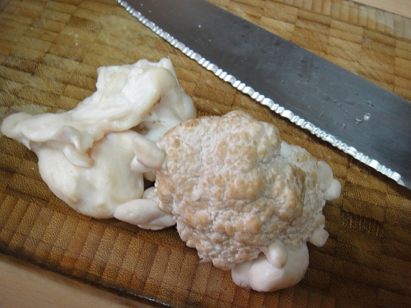 DSC00500.jpg DSC00500.jpg