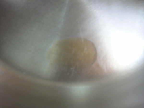 DSC00502.jpg DSC00502.jpg