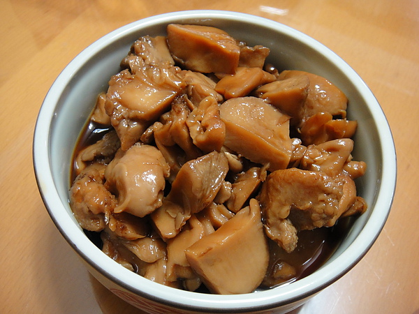 DSC00512.jpg DSC00512.jpg