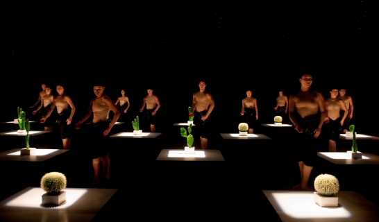 CACTI-RR_(18)_-_Copy CACTI-RR_(18)_-_Copy