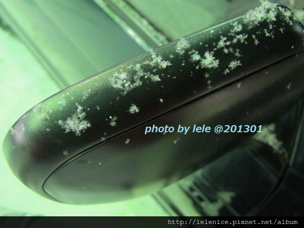 IMG_6341 (600x450) IMG_6341 (600x450)