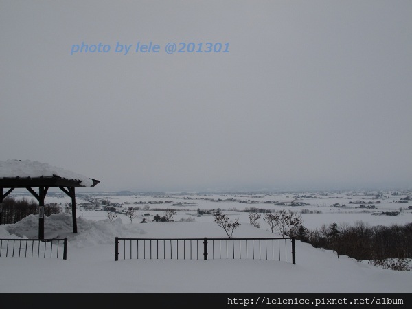 IMG_6950 (600x450) IMG_6950 (600x450)
