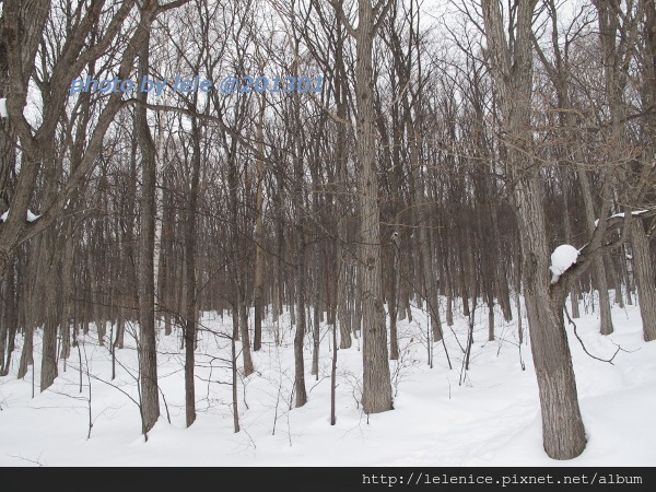 IMG_6973 (600x450) IMG_6973 (600x450)