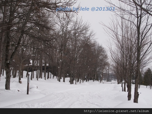 IMG_7051 (600x450) IMG_7051 (600x450)