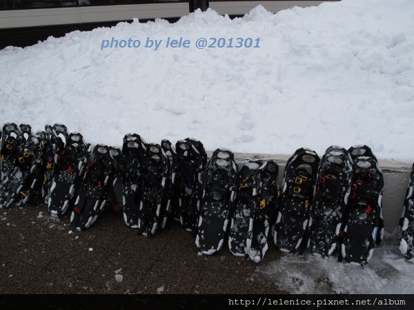 IMG_7054 (600x450) IMG_7054 (600x450)