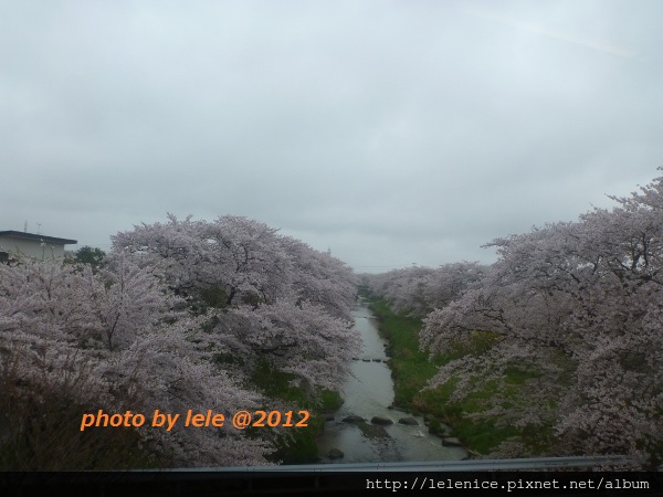 P1050860 (600x450) P1050860 (600x450)