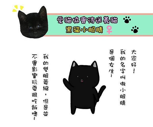 小眼睛 小眼睛