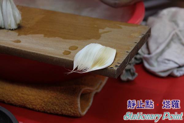 IMG_1103.JPG IMG_1103.JPG