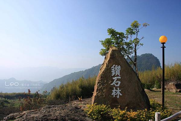 鑽石林露營區 002 鑽石林露營區 002
