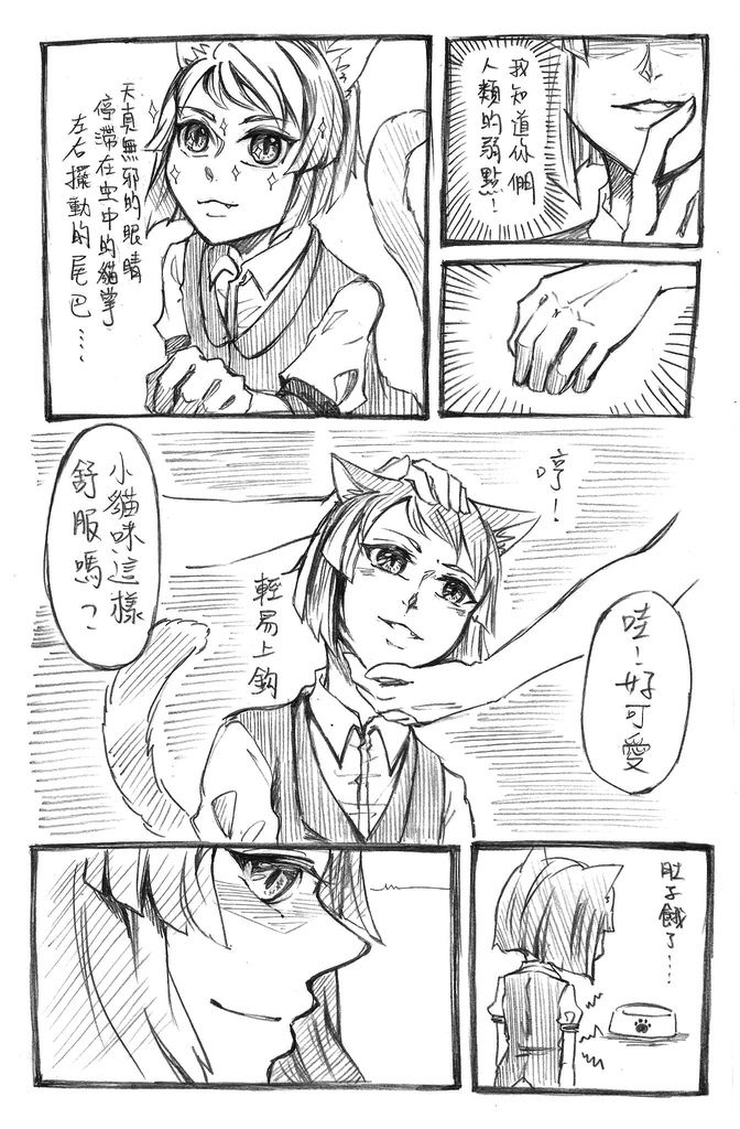 貓掌01 貓掌01