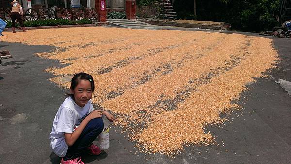 IMAG3591.jpg IMAG3591.jpg