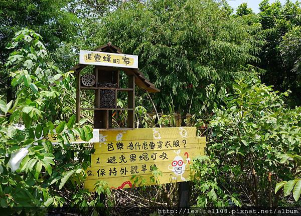 貪吃麻麻推薦宜蘭幸福20號農場 有鴕鳥耶 快點帶我去看!