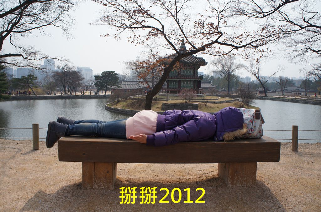 20121231-01 20121231-01