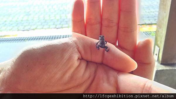 10256236_10203960164265354_7123008933307784522_n