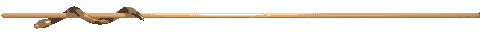 分隔5685513054579936729.jpg