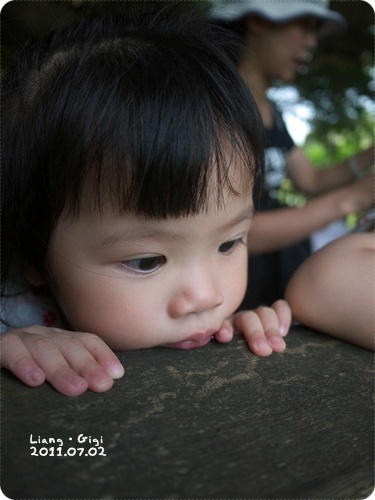 看魚看得出神...是在想要吃那一隻嗎?