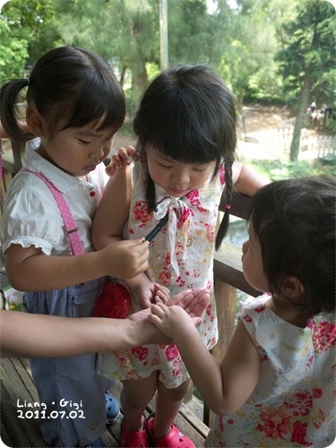 你們這些小孩才是魚吧?搶飼料搶得兇...