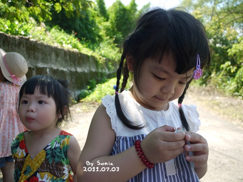 P1000339.JPG P1000339.JPG