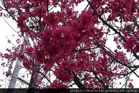 P1260901.JPG P1260901.JPG