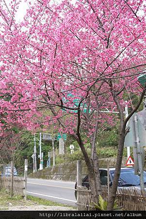 P1260982.JPG P1260982.JPG