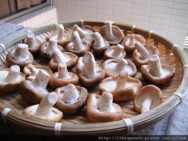 DSC09358.JPG DSC09358.JPG