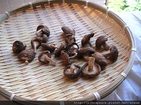 DSC09491.JPG DSC09491.JPG