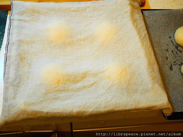 P1140131.JPG P1140131.JPG