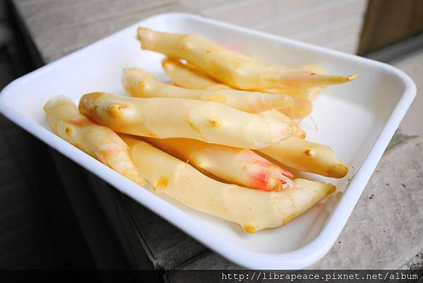 P1260051.JPG P1260051.JPG