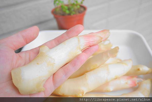 P1260064.JPG P1260064.JPG