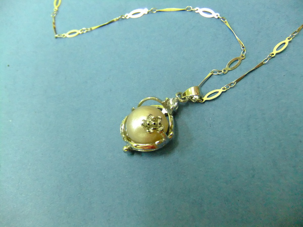 DSCF1011.JPG DSCF1011.JPG