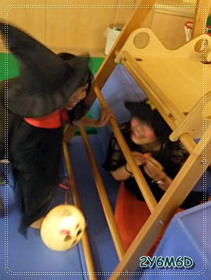 29.jpg 29.jpg