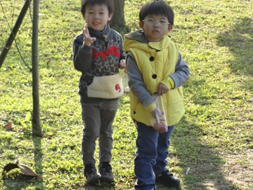 16.JPG 16.JPG