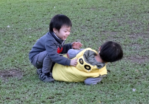 29.JPG 29.JPG