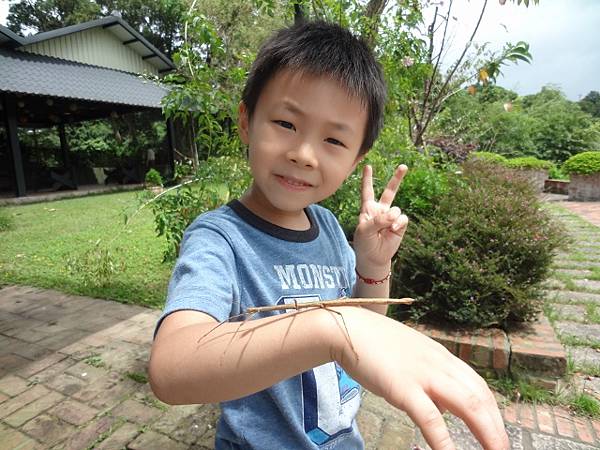 DSC09519 (640x480) DSC09519 (640x480)
