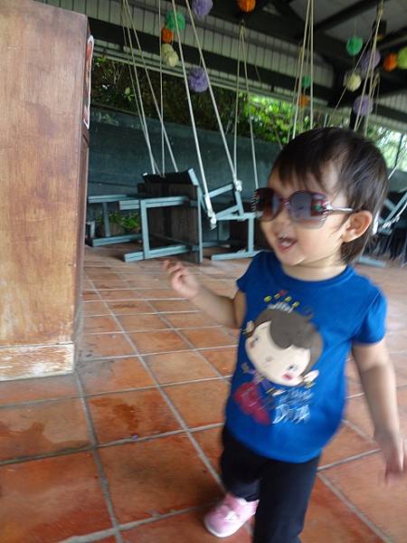 DSC09509 (480x640) DSC09509 (480x640)