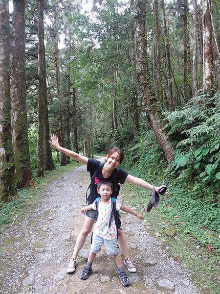 DSC09354 (480x640) DSC09354 (480x640)