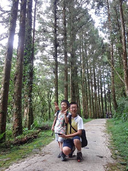 DSC09349 (480x640) DSC09349 (480x640)