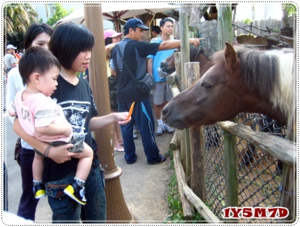 馬.jpg 馬.jpg