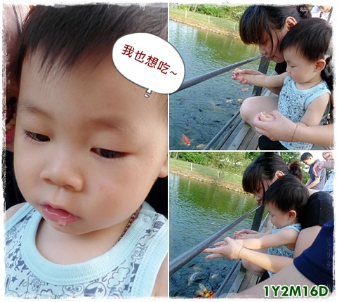 餵魚.jpg 餵魚.jpg
