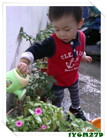花2.jpg 花2.jpg