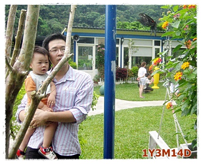 看蝴蝶.jpg 看蝴蝶.jpg